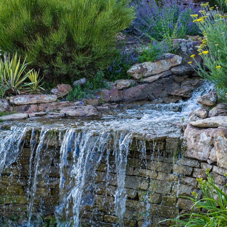 Landscaping and koi ponds in Spring Hill, FL Landscaping and koi ponds in Spring Hill, FL